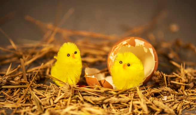 PHOTO 101 DOUBLE DAY 19 copy 3