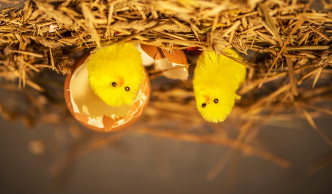 PHOTO 101 DOUBLE DAY 19 copy 5