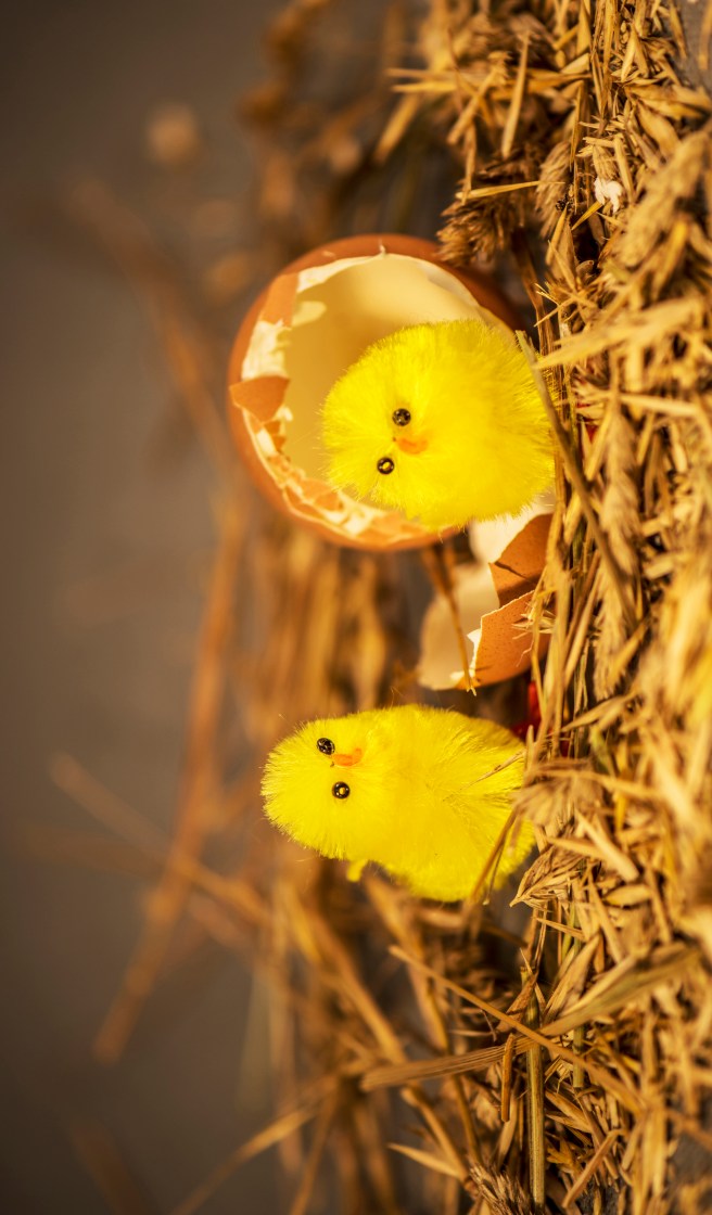 PHOTO 101 DOUBLE DAY 19 copy 6