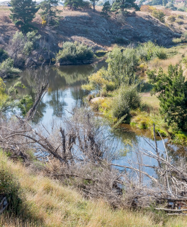 photo _DSC1959 copy 2