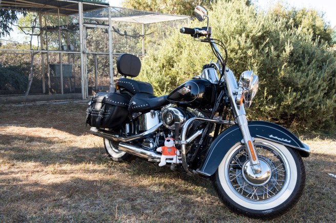 photo _DSC2340 copy 2