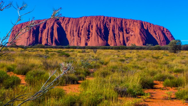 photo Ulysses Alice AGM 2014_1505_0120 copy