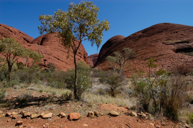 My favourite 'Dreaming' spot in Kata Thuta.