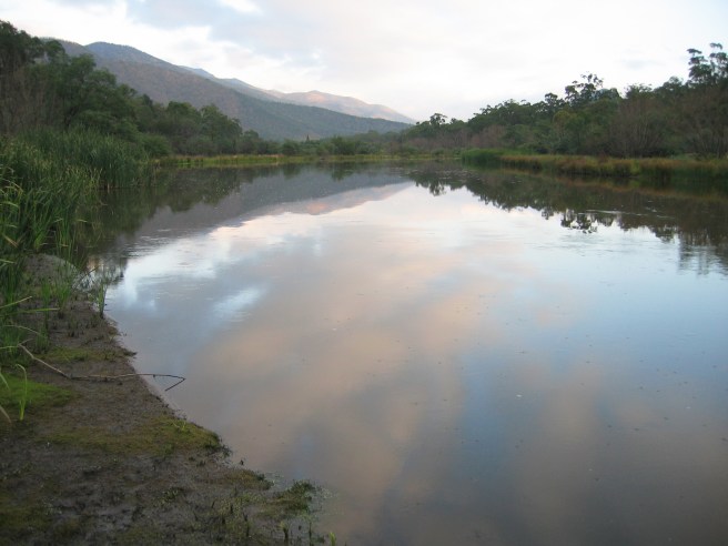A TRANQUIL STRETCH OF THE SNOWY RIVER NEAR THE VICTORIAN-NEW SOUTH WALES BORDER.
