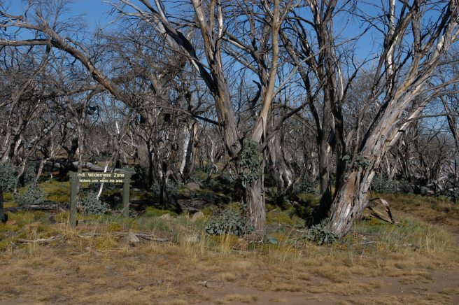 ABOVE THE SNOWLINE, WALKERS ONLY HERE SO WE  ALWAYS PARK AND WANDER DOWN A WAYS ON FOOT.