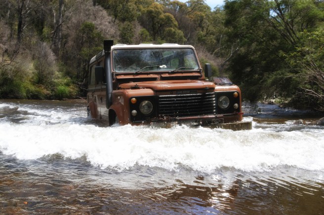 MR BROWN SWIMMING NEAR TOM  GROGGAN