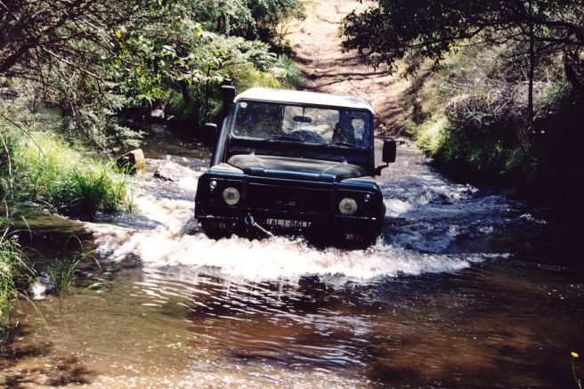 MR GREEN PLAYING IN A PUDDLE NEAR COWOMBAT FLAT IN VICTORIAN HIGH COUNTRY
