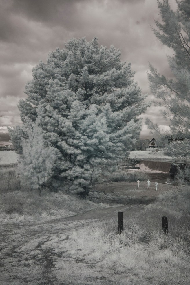 ON THE BANKS OF THE WOLLONDILLY RIVER JUST NEAR HOME. INFRA RED IMAGE.