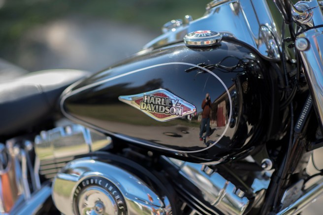 blog ME AND MY HJOG AT 80MM _DSC5114 copy