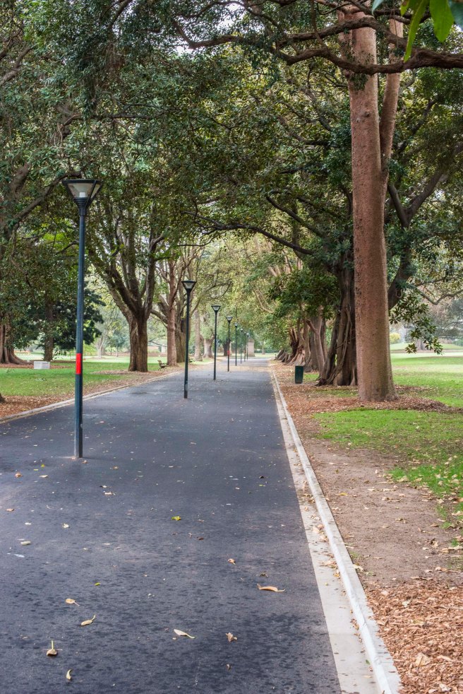 Nikonians 1st Sydney meeting_0006 copy 3.jpg