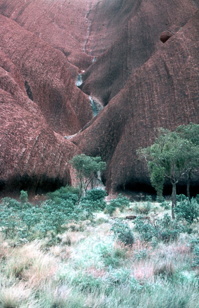 ULURU 11 copy 3