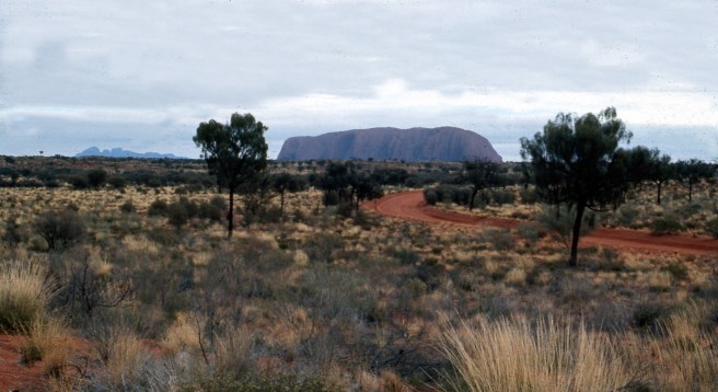 ULURU 35 copy 3