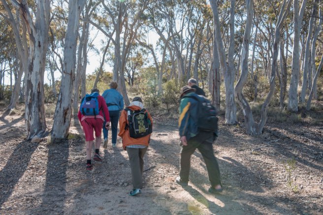 blog-rambler-partt-1_16oct-2016_0005-copy