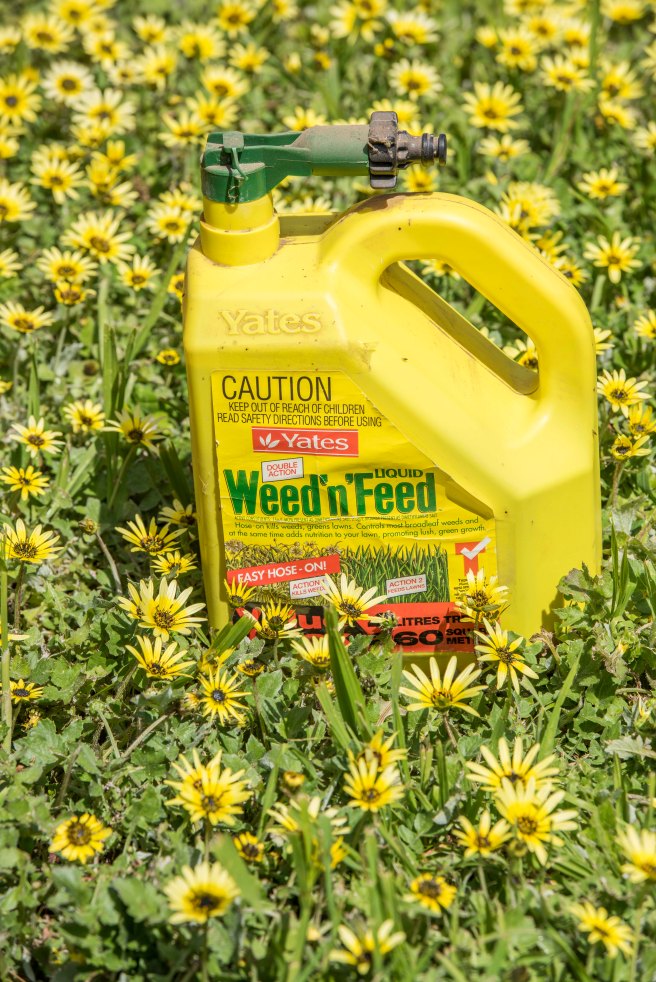 weed-poison_11oct-2016_0021-copy-2-blog