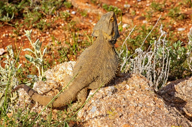 dsc_0091-3-printed-copy