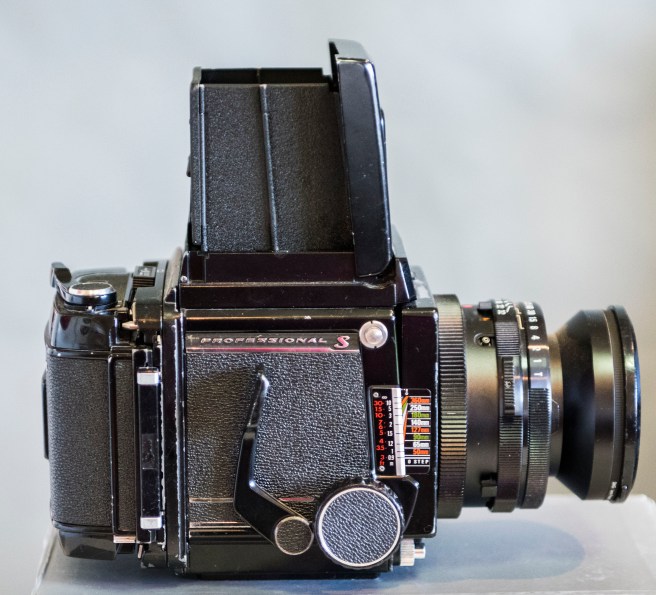 1BLOG-Size matters_20Mar2017_0001 copy