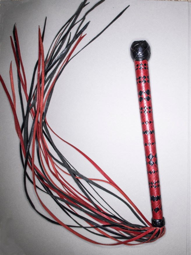 the-whip_02mar2017_0004-copy