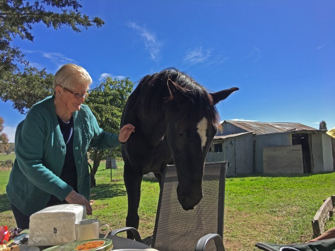 BLOG BAXTER IMG_0987 copy 1