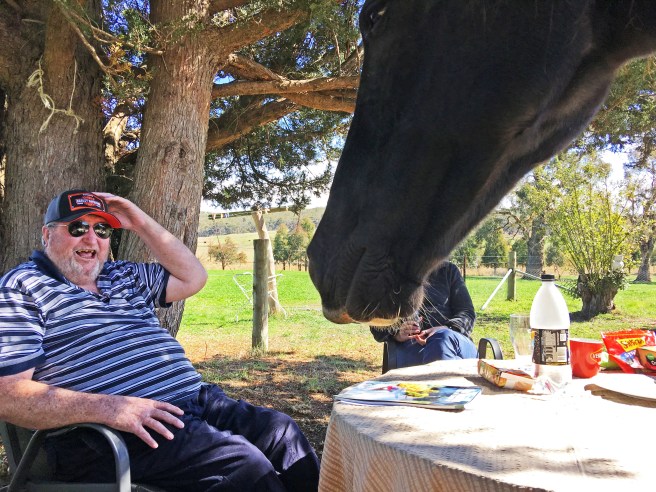 BLOG BAXTER IMG_1033 copy 1