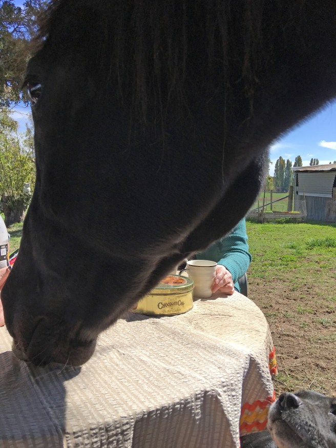 BLOG BAXTER MG_1024 copy 2