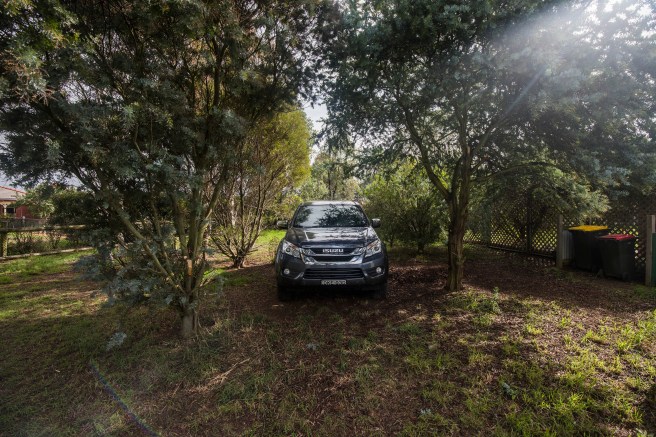 green waste_10Apr2017_0002 copy 2